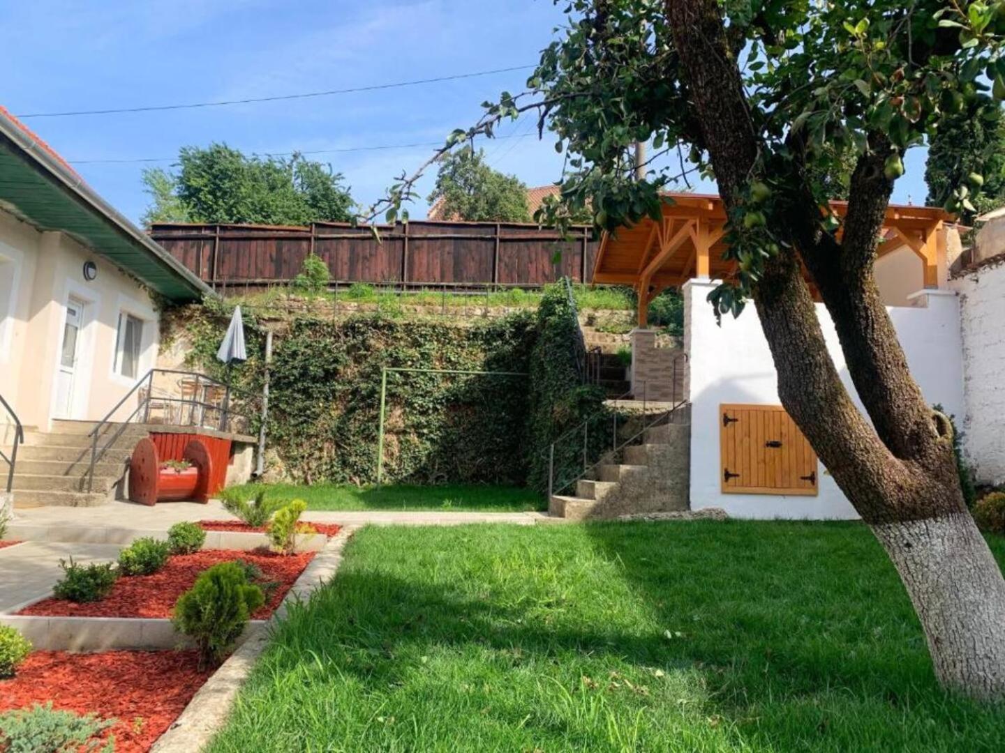 Schei Residence Брашов Екстер'єр фото